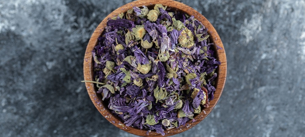  Karabaş otu neye iyi gelir? Karabaş otu çayını kimler kullanamaz?