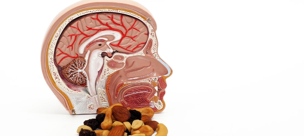 Beyne iyi gelen besinler nelerdir? Beyni en çok ne güçlendirir? 