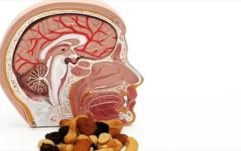 Beyne iyi gelen besinler hangileridir? Beyni hangi vitamin güçlendirir?