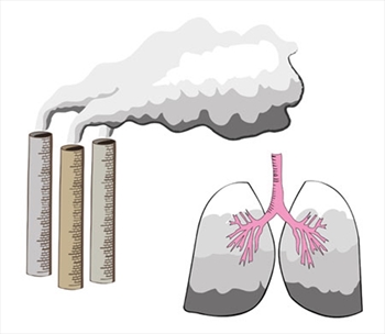 Koah balirtileri ve tedavisi