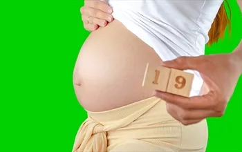 19 haftalık gebelikte bebek gelişimi nasıldır? 19 haftalık gebelikte neler olur?