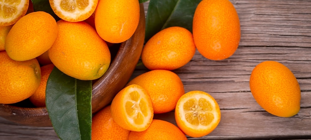 Kamkat (Kumkuat) nedir? Kamkat ne işe yarar?