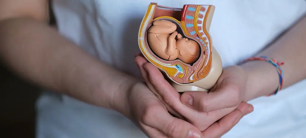 3 haftalık hamilelik belirtileri nelerdir? 3 haftalık hamilelikte Beta HCG kaç olur? 3 haftalık hamilelik belirtileri nelerdir? 3 haftalık hamilelikte Beta HCG kaç olur?