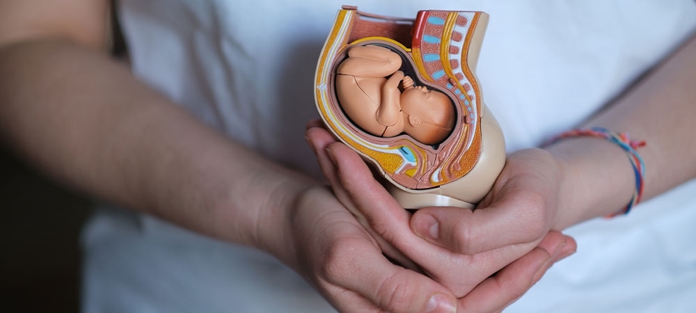 3 haftalık hamilelik belirtileri nelerdir? 3 haftalık hamilelikte Beta HCG kaç olur?