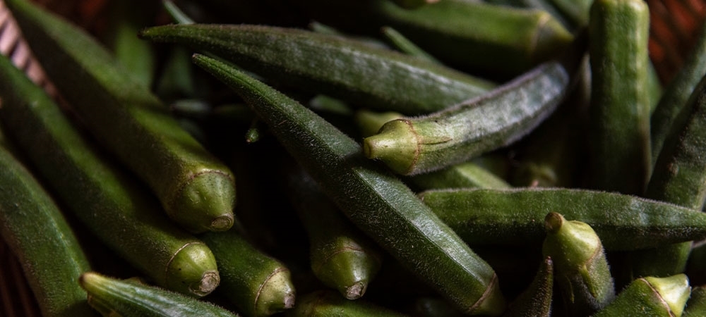 Bamya tohumu nelere iyi gelir? Bamya tohumu diz için nasıl kullanılır?