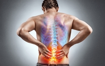 Ankilozan Spondilit Erkeklerde Daha Sık Görülüyor