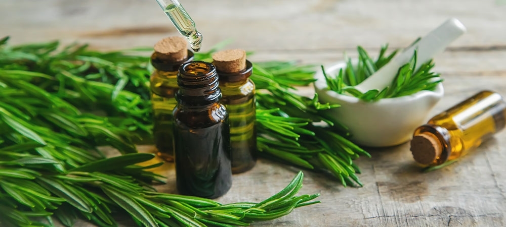 Biberiye yağının faydaları nelerdir? Biberiye yağı nelere iyi gelir? 