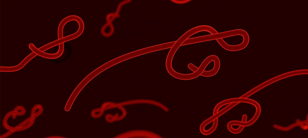 Kıl kurdu belirtileri nelerdir? Kıl kurdu nasıl tedavi edilir?