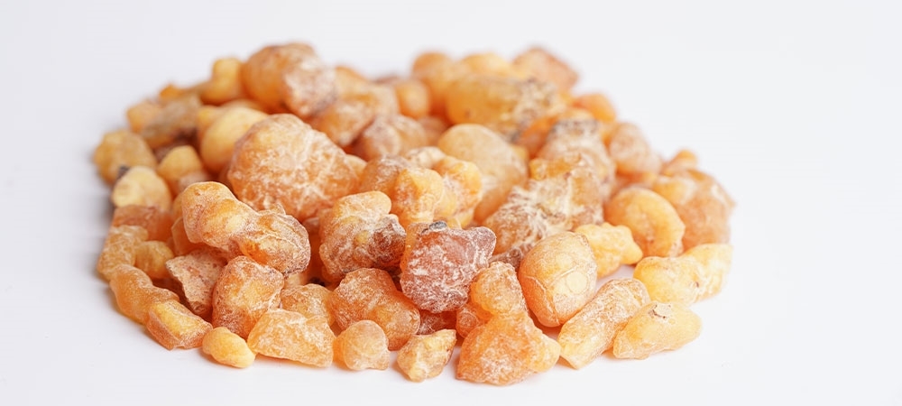 Akgünlük sakızı nedir? Akgünlük sakızı faydaları nelerdir? 