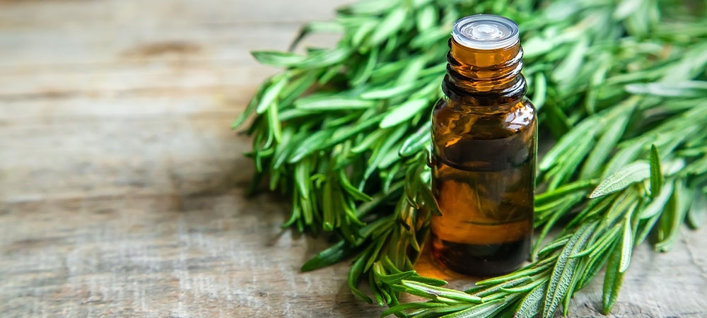 Biberiye yağı nasıl kullanılır? Saç için biberiye yağı nasıl kullanılır?