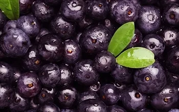 Acai berry faydaları nelerdir? Acai berry gerçekten kilo verdirir mi?