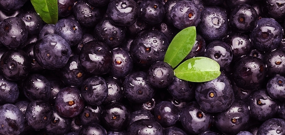 Acai berry faydaları nelerdir? Acai berry gerçekten kilo verdirir mi?