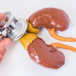 Addison Hastalığı (Adrenal Yetmezlik) Nedir?