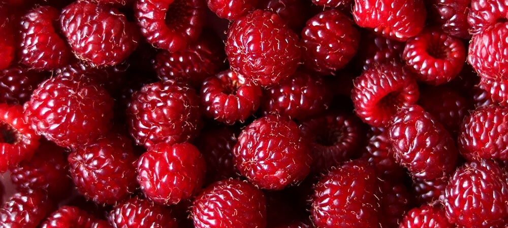 Ahududunun faydaları nelerdir? Ahududunun kalorisi ve besin değeri