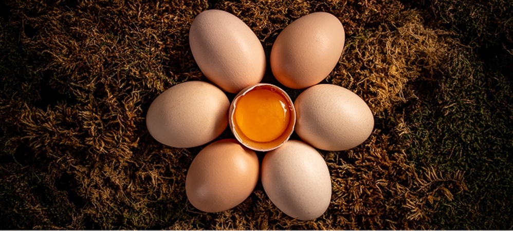 Yumurtanın faydaları nelerdir? Günde en fazla kaç yumurta yenmeli?