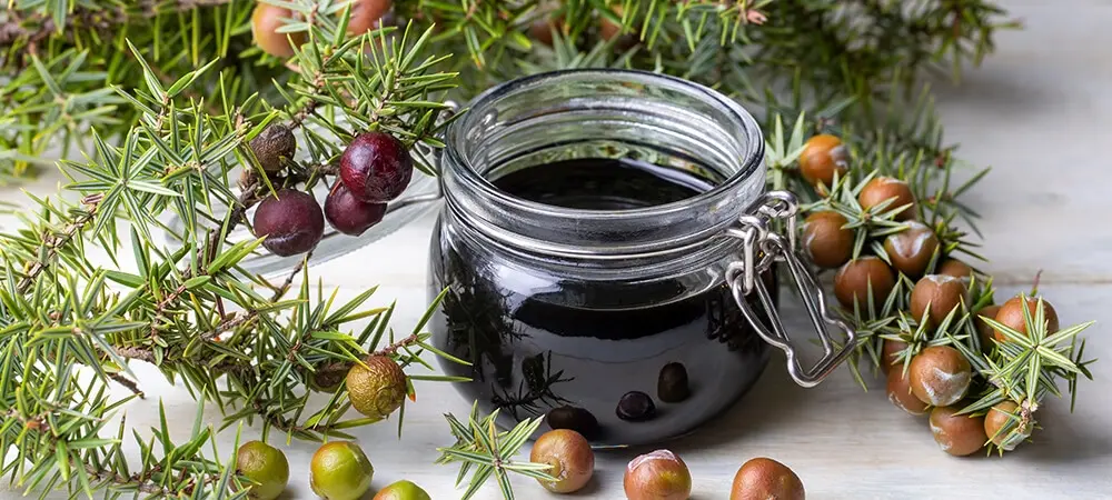 Andız pekmezi nedir? Andız pekmezinin faydaları nelerdir?