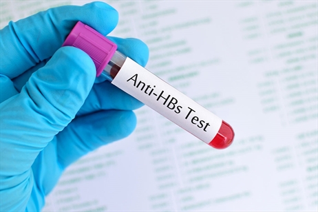Anti HBs Nedir?