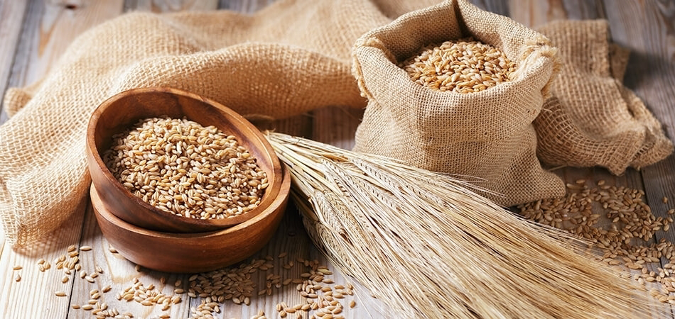 Arpanın faydaları nelerdir? Buğday ve arpa aynı şey mi?