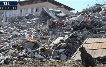 Deprem Sonrası Asbest Tehlikesi