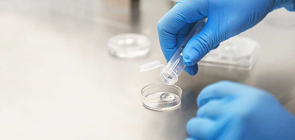 Aşılama ile tüp bebek tedavisi arasındaki fark nedir?