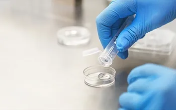 Aşılama ile tüp bebek tedavisi arasındaki fark nedir?