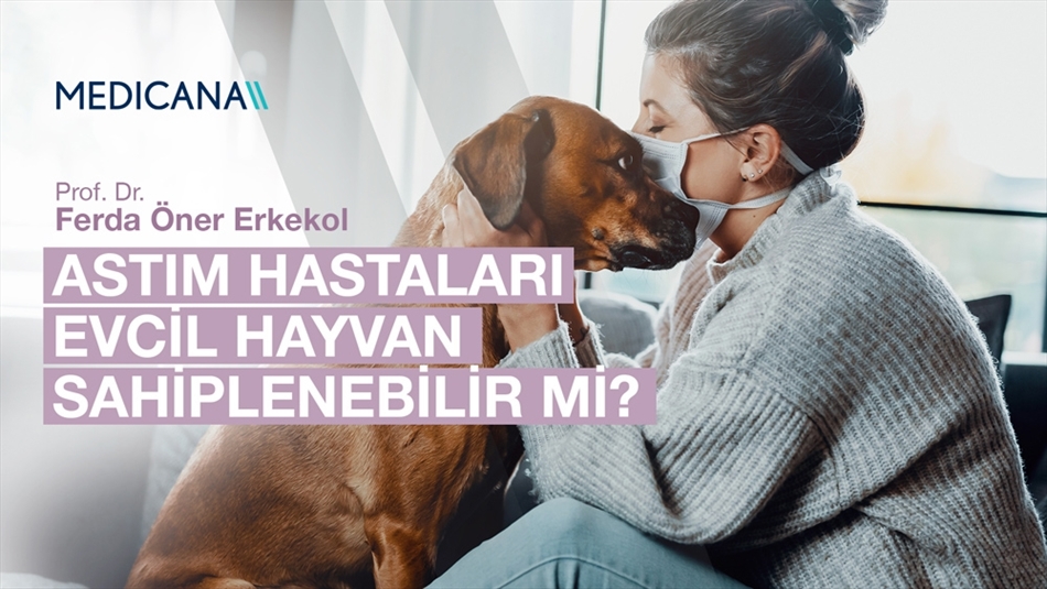 Astım Hastaları Evcil Hayvan Sahiplenebilir mi?