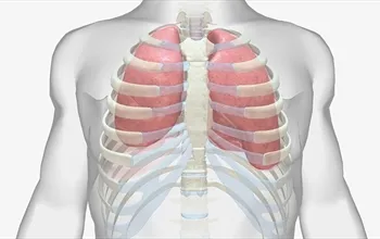 Atelektazi nedir? Nedenleri, belirtileri ve doktora başvuru zamanı