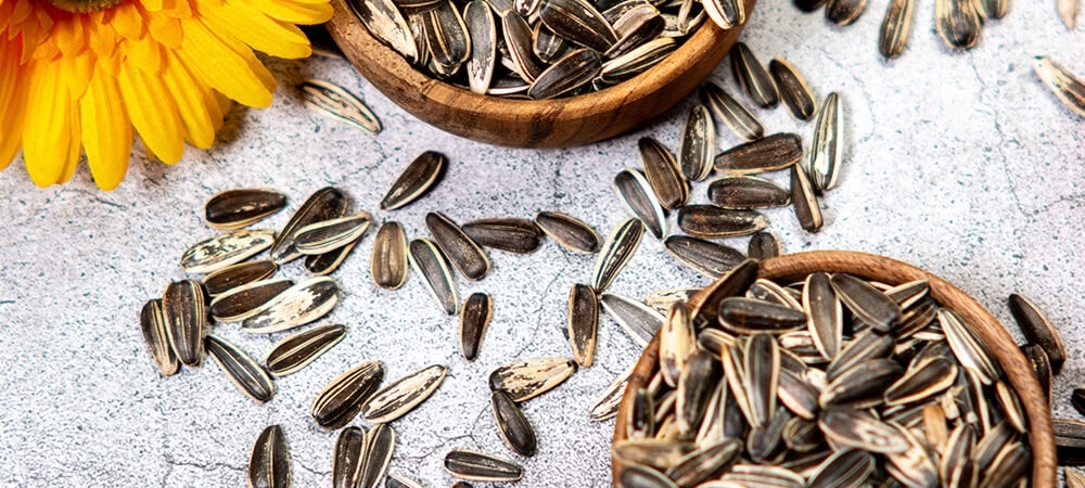 Çekirdek nedir? Ay çekirdeğinin faydaları neler?