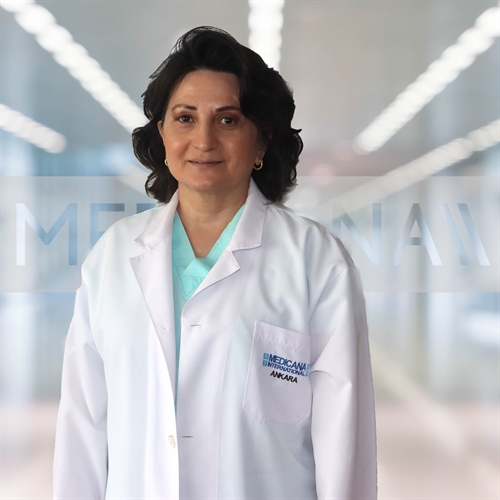Prof. Dr. Ayla Aktulay
