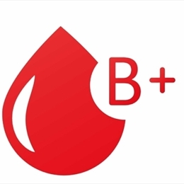 B Rh+ (Pozitif) 