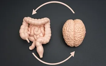 Bağırsak-beyin ekseni nedir? Bilimsel temeli ve klinik önemi