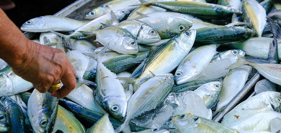 Balık yemenin faydaları neler? Balıkta hangi vitaminler var?