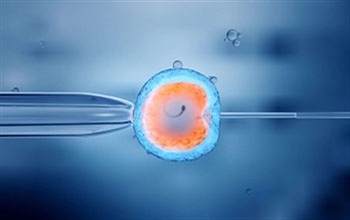 Tüp Bebek Yönteminde Sperm ve Embriyo Kalitesi Büyük Önem Taşıyor Tüp Bebek Yönteminde Sperm ve Embriyo Kalitesi Büyük Önem Taşıyor