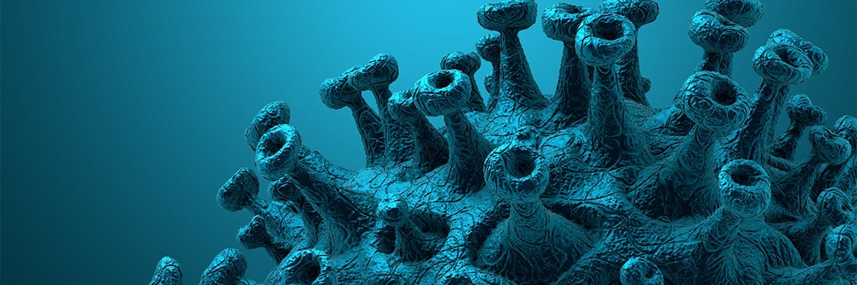 Eris Varyantı (Eris Virüs) Nedir, Nasıl Belirti Gösterir?