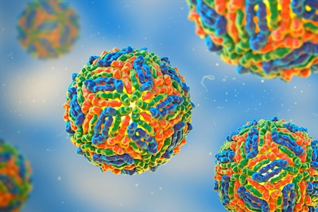 Batı Nil Virüsü (West Nile Fever Virus)