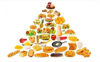 Besin piramidi nedir? Besin piramidi ne işe yarar?