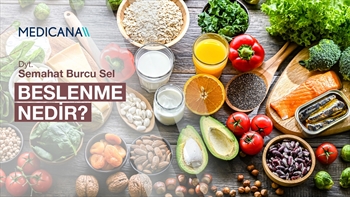 Beslenme Nedir?
