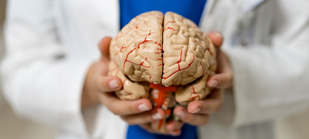 Beynin işlevleri nelerdir? Beyinin işlevleri bozulursa ne olur?