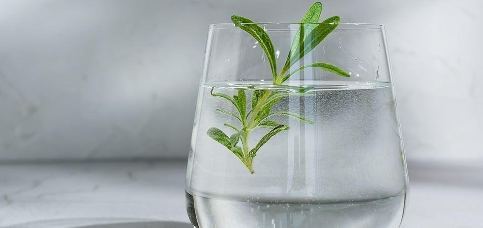 Biberiye saça nasıl kullanılır? Biberiye suyunun saça faydaları neler?