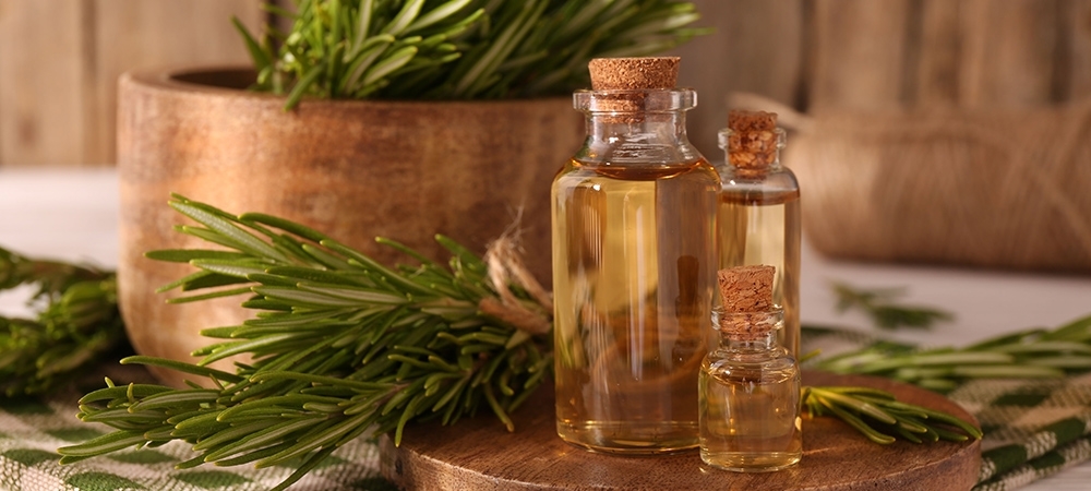 Biberiye yağı nelere iyi gelir? Biberiye yağı kilo verdirir mi?