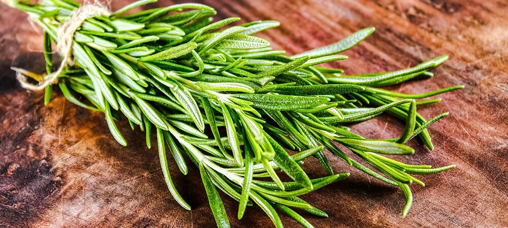 Biberiye neye iyi gelir? Biberiyenin saça faydaları nelerdir?