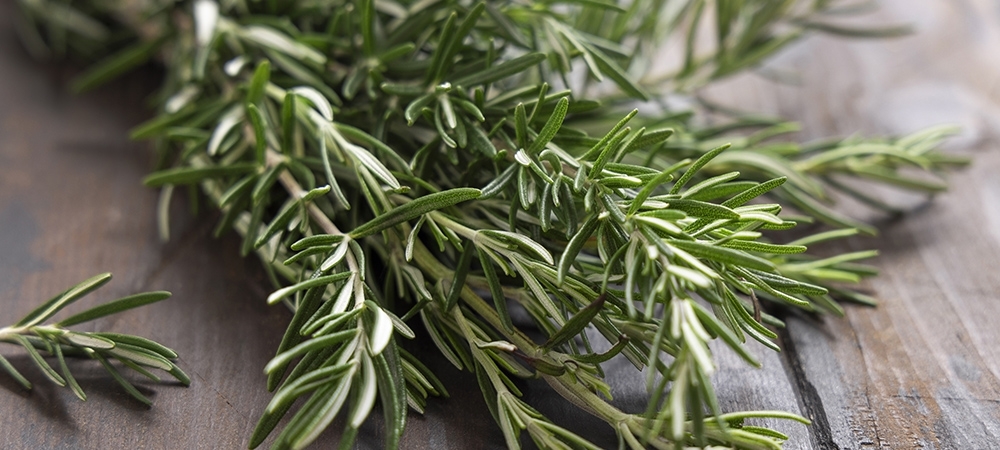 Biberiyenin faydaları neler? Biberiye suyu içilir mi?