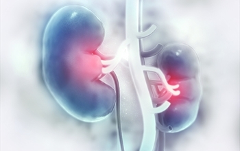 Akut Böbrek Yetmezliği Nedir? Belirtileri Nelerdir?