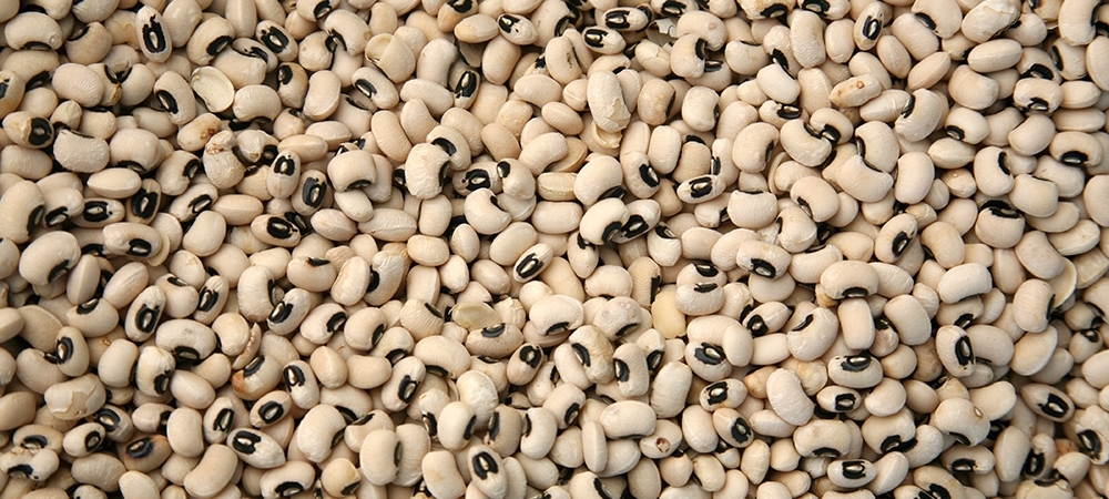 Börülcenin faydaları nelerdir? Börülcenin zararları neler?