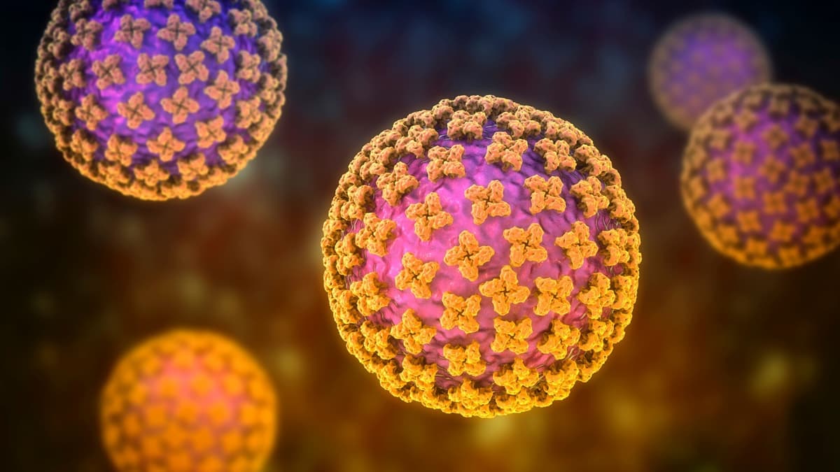 Bunyavirus Nedir ve Belirtileri Nelerdir? Nasıl Bulaşır?
