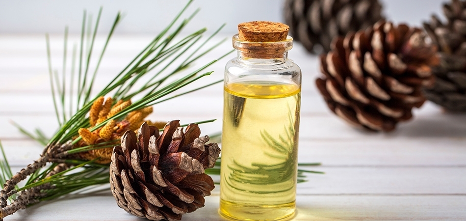 Çam terebenti nedir? Çam terebenti saç için nasıl kullanılır?