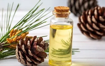 Çam terebenti nedir? Çam terebenti saç için nasıl kullanılır?