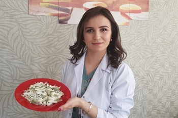 Küflü Peynir Tüketiminde Dikkat Edilmesi Gerekenler