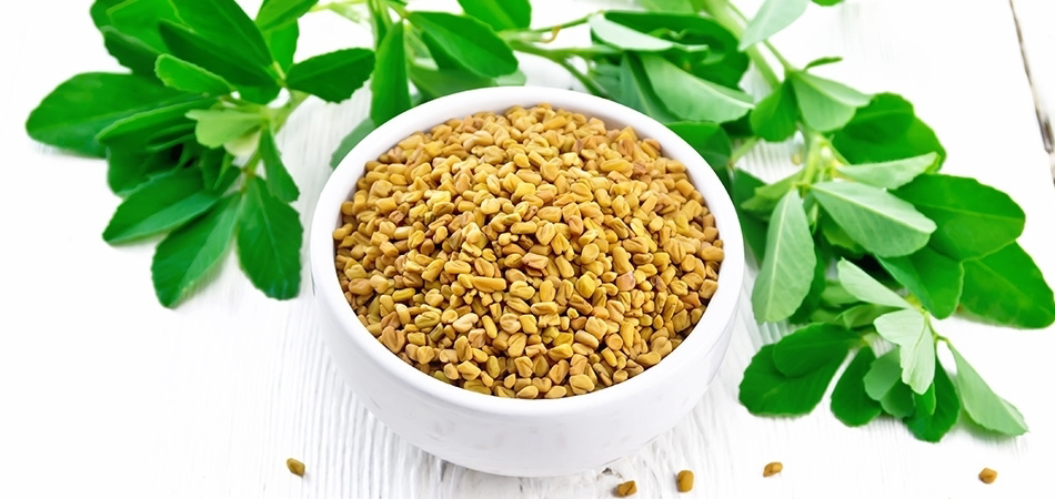 Çemen otu nedir? Çemen otu faydaları nelerdir?