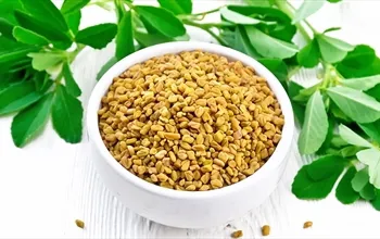 Çemen otu nedir? Çemen otu faydaları nelerdir?